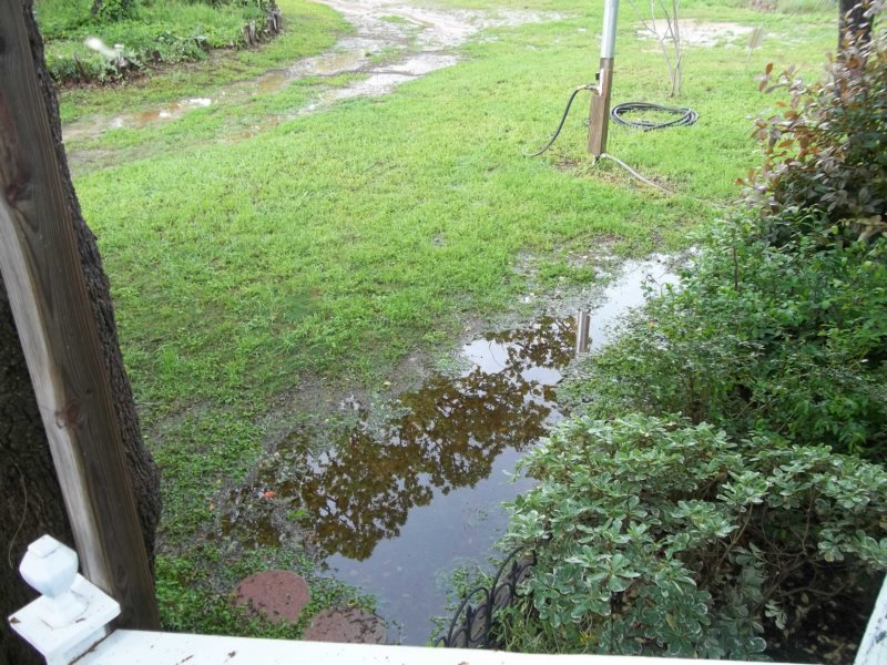 rain22.jpg