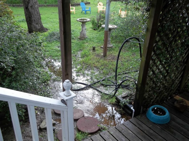 rain23.jpg