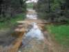 rain25_small.jpg
