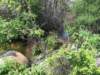 rainwalk11_small.jpg