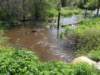 rainwalk12_small.jpg