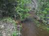 rainwalk13_small.jpg
