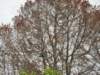 rainwalk19_small.jpg