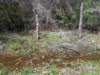 rainwalk8_small.jpg