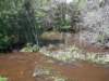 rainwalk9_small.jpg