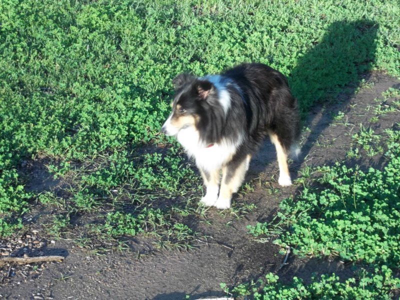 spring20121.jpg