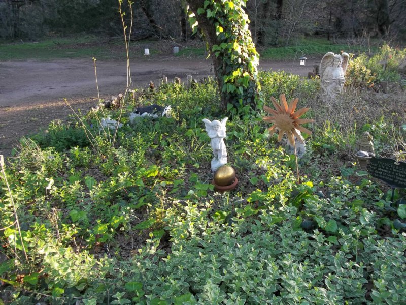 spring201210.jpg