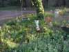 spring201210_small.jpg