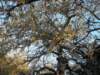 spring201211_small.jpg
