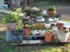 spring20129_small.jpg