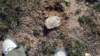 thelakedriedup6_small.jpg