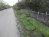 wateronroad1_small.jpg