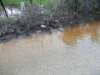 wateronroad5_small.jpg