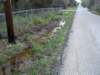 wateronroad8_small.jpg
